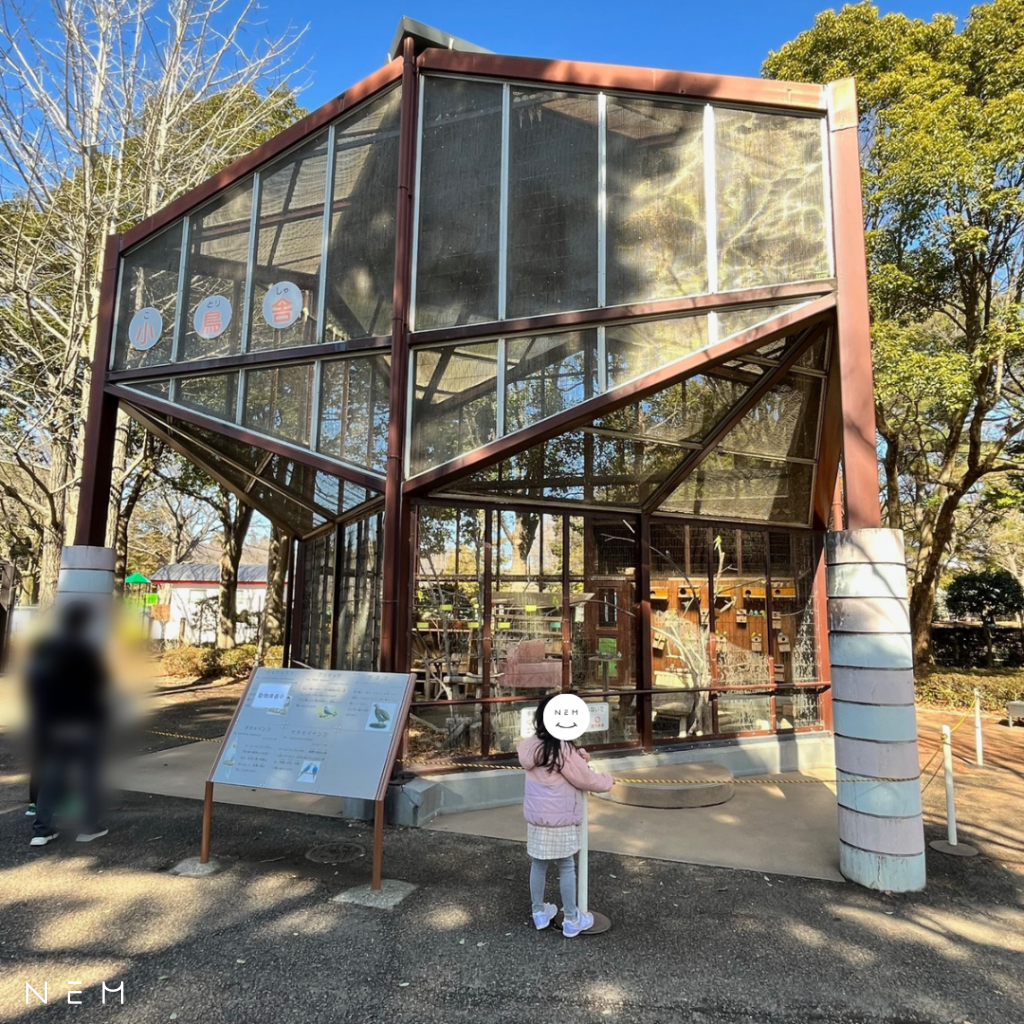 平塚総合公園ふれあい動物園の動物たち