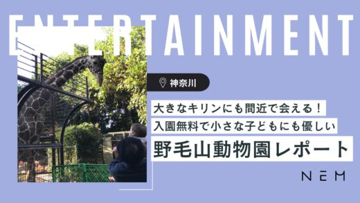 【子連れ神奈川】キリンも間近で！横浜の野毛山動物園は入園無料で幼児連れに優しい