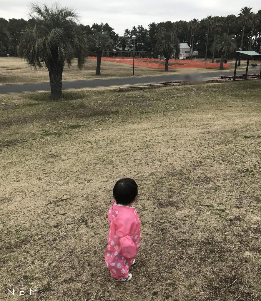 辻堂海浜公園おすすめポイント① とにかく広い敷地!